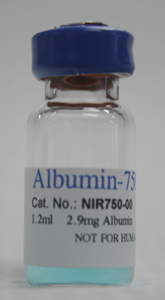 albumin for near-ir imaging studies
